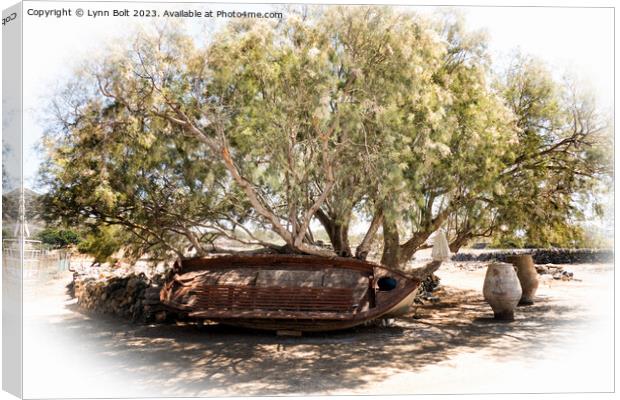 Under the Olive Tree Canvas Print by Lynn Bolt