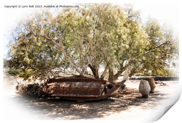 Under the Olive Tree Print by Lynn Bolt