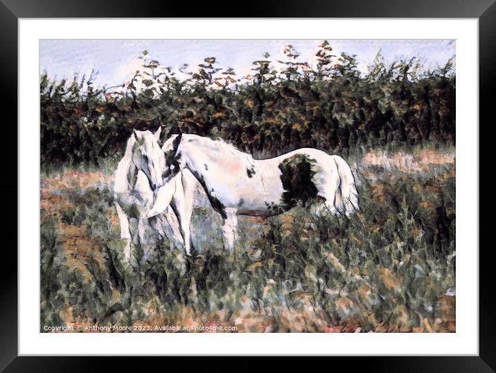 Graceful Equine Companions Framed Mounted Print by Anthony Moore