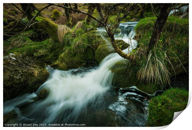 The Enchanting Red Brook Waterfalls Print by Stuart Day