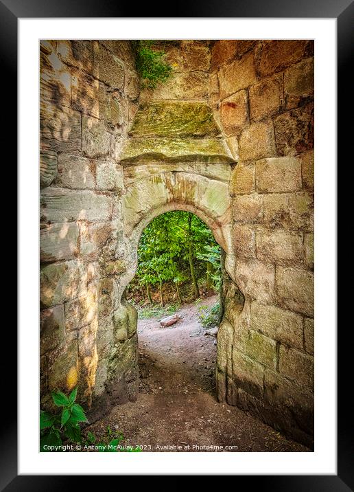 Rosslyn Castle Forest Entry Framed Mounted Print by Antony McAulay