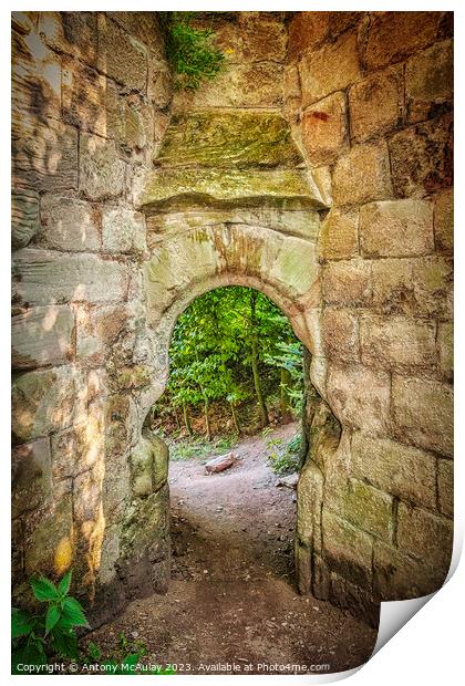Rosslyn Castle Forest Entry Print by Antony McAulay
