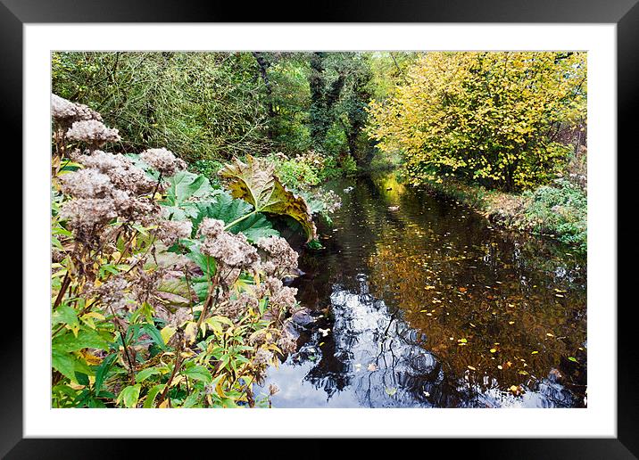 Autumn at Fairhaven Trust Framed Mounted Print by Stephen Mole