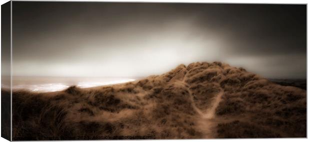 Windswept Dunes Canvas Print by Martin Plomer