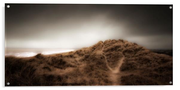 Windswept Dunes Acrylic by Martin Plomer