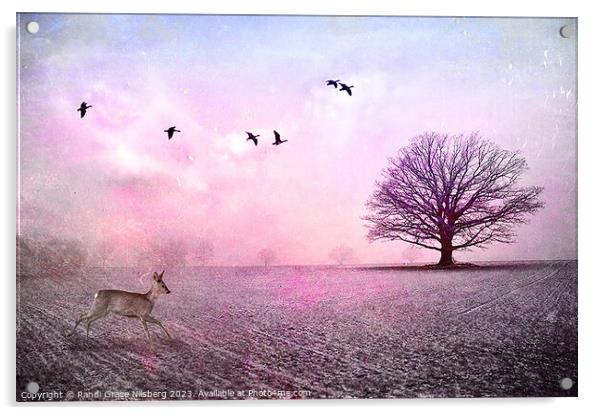 Roe Deer Peace Acrylic by Randi Grace Nilsberg