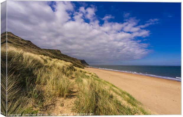 Cattersty Sands near Skinningrove Canvas Print by Michael Shannon