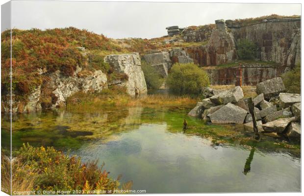 Carbilly Tor old quarry works Canvas Print by Diana Mower