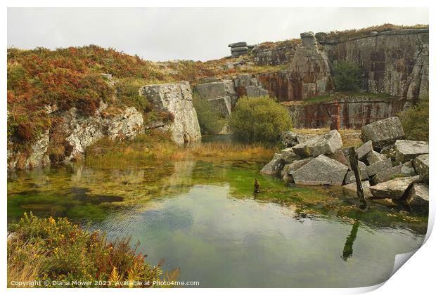 Carbilly Tor old quarry works Print by Diana Mower
