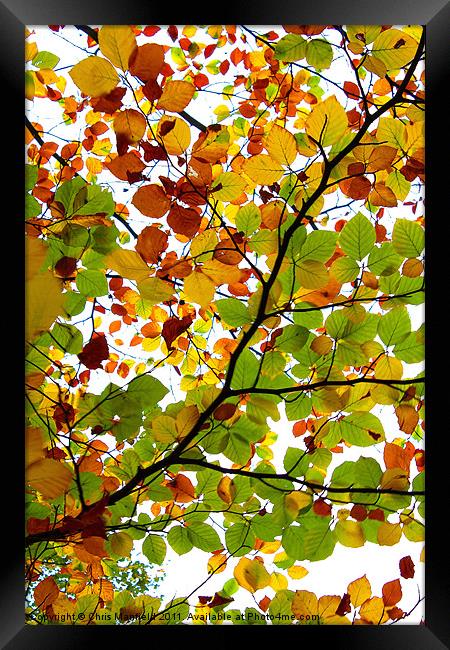 kaleidoscopic Autumn Framed Print by Chris Manfield