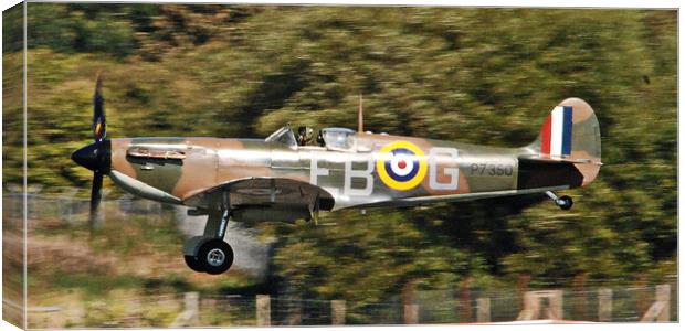 Spitfire Mk11a P7350 preparing to land Canvas Print by Allan Durward Photography