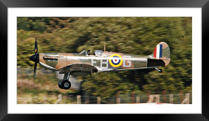 Spitfire Mk11a P7350 preparing to land Framed Mounted Print by Allan Durward Photography