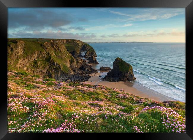 Spring At Bedruthan Framed Print by CHRIS BARNARD