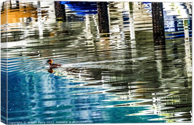 Common Goldeneye Duck Reflection Abstract Gig Harbor Washington  Canvas Print by William Perry