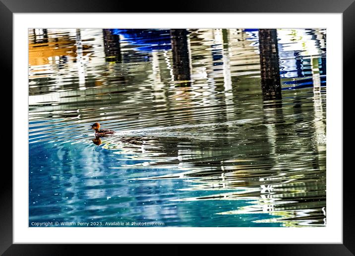 Common Goldeneye Duck Reflection Abstract Gig Harbor Washington  Framed Mounted Print by William Perry
