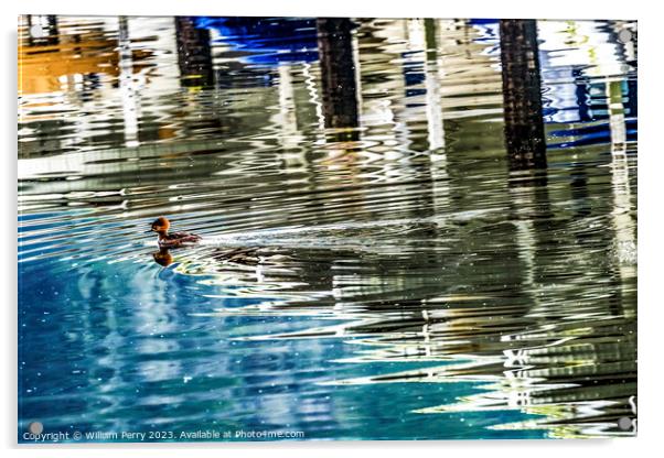 Common Goldeneye Duck Reflection Abstract Gig Harbor Washington  Acrylic by William Perry