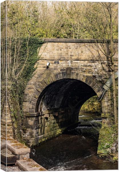 Hebble Brook Bridge Canvas Print by Glen Allen