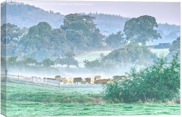 Devonshire Countryside  Canvas Print by Alison Chambers