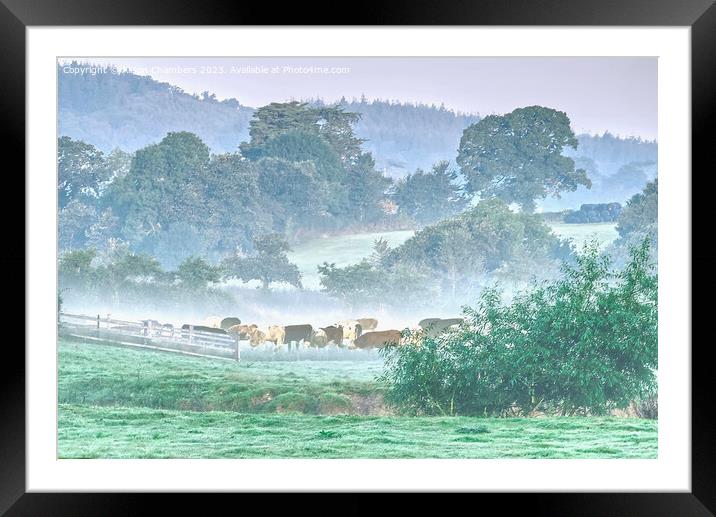 Devonshire Countryside  Framed Mounted Print by Alison Chambers