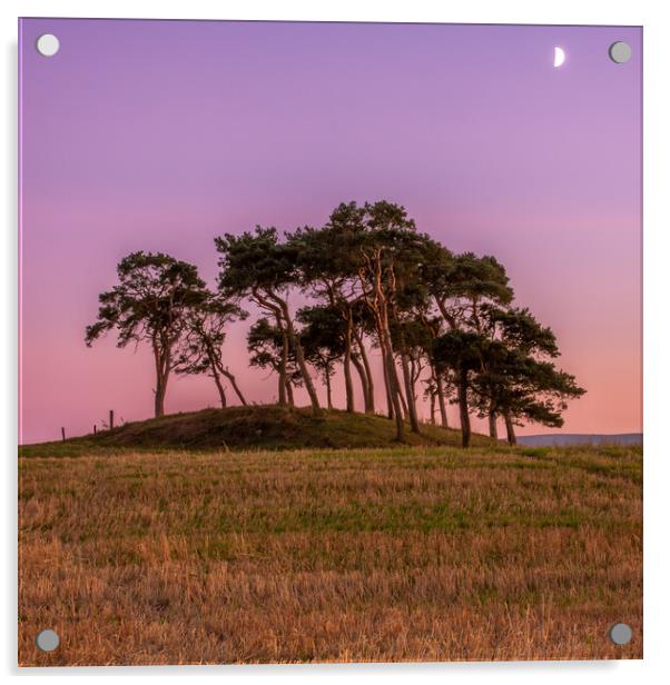 Gollanfield Sunset Acrylic by John Frid