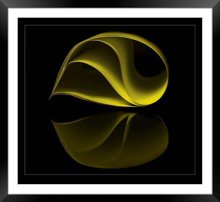 Spiraling Yellow Seashell Framed Mounted Print by kathy white