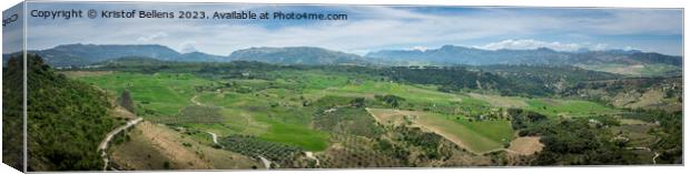 Panoramic view on the pastures and landscape in Ronda, Andalusia surroundings. Canvas Print by Kristof Bellens