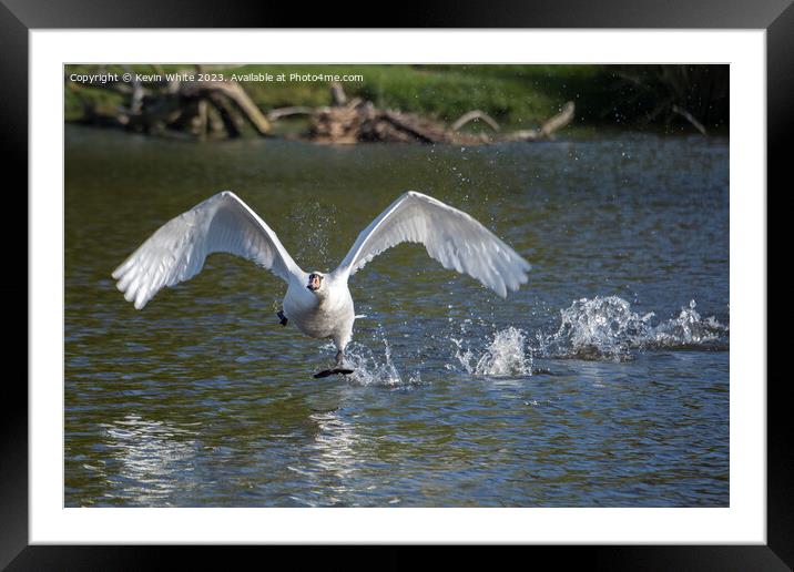 Walk on water or fly indecision Framed Mounted Print by Kevin White