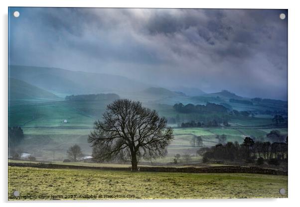 Misty morning, Grassington. Acrylic by Chris North