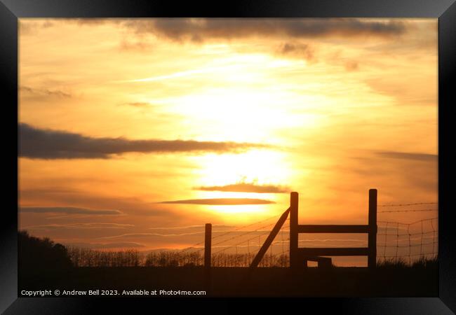 A Golden Gateway to Nature's Paradise Framed Print by Andrew Bell