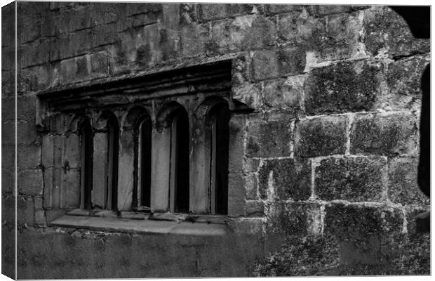 Skpton Castle - Medieval Windows - Mono Canvas Print by Glen Allen