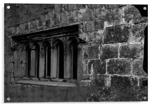 Skpton Castle - Medieval Windows - Mono Acrylic by Glen Allen