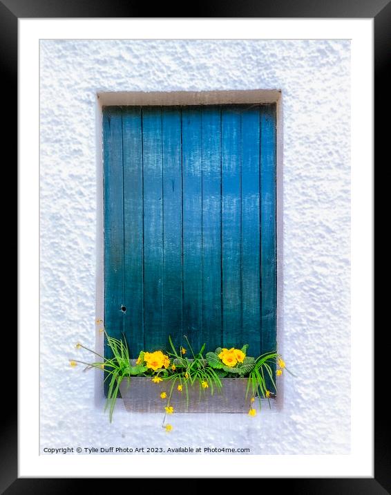 Study in Yellow and Blue-Daffodils in Bloom Framed Mounted Print by Tylie Duff Photo Art