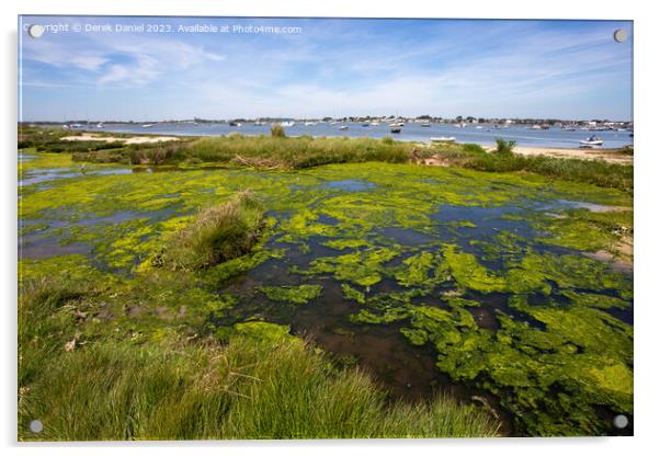 Mudeford Spit  Acrylic by Derek Daniel