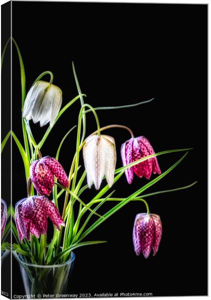 A Vase Of Purple & Cream Snake's Head Fritillary F Canvas Print by Peter Greenway