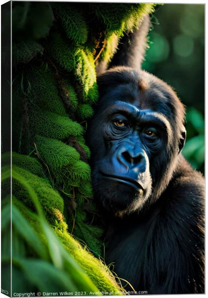 Majestic Gorilla Staring into the Camera Canvas Print by Darren Wilkes