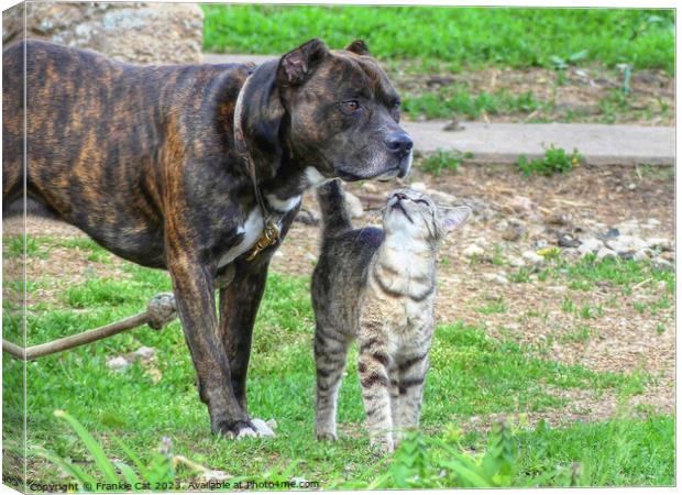 Pit Bull and Cat Canvas Print by Frankie Cat