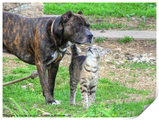 Pit Bull and Cat Print by Frankie Cat