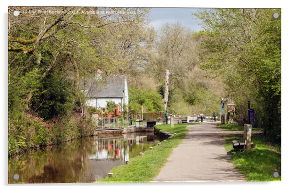 Monmouthshire and Brecon Canal Acrylic by Pearl Bucknall