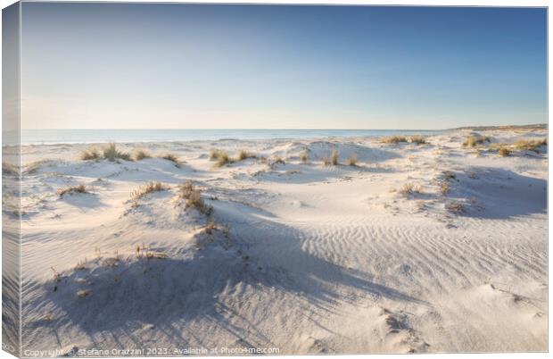 White sand beach and dunes. Vada, Tuscany Canvas Print by Stefano Orazzini