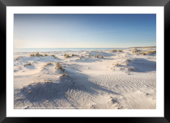 White sand beach and dunes. Vada, Tuscany Framed Mounted Print by Stefano Orazzini