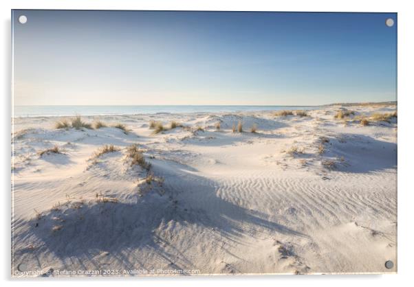 White sand beach and dunes. Vada, Tuscany Acrylic by Stefano Orazzini