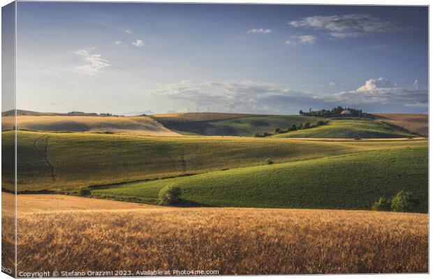 Rolling hills and wheat fields. Santa Luce, Tuscany Canvas Print by Stefano Orazzini