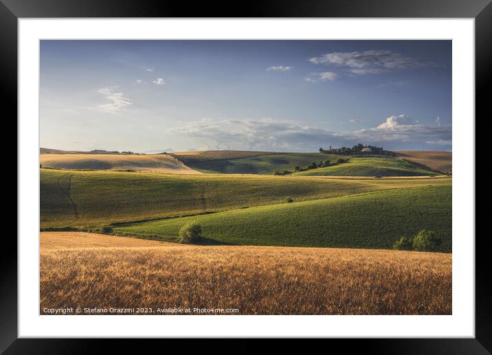 Rolling hills and wheat fields. Santa Luce, Tuscany Framed Mounted Print by Stefano Orazzini