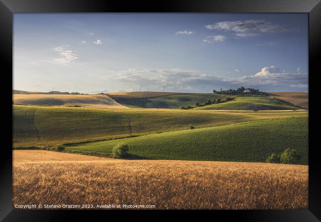 Rolling hills and wheat fields. Santa Luce, Tuscany Framed Print by Stefano Orazzini