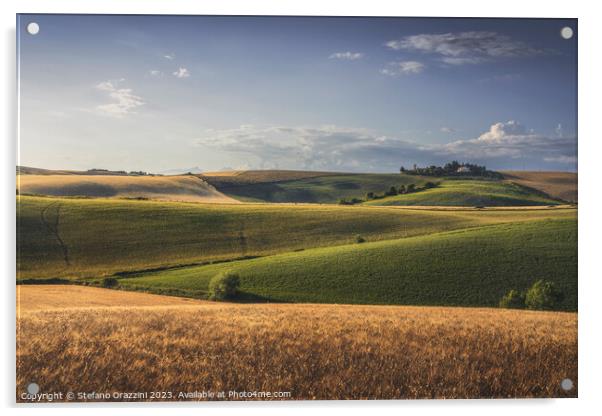 Rolling hills and wheat fields. Santa Luce, Tuscany Acrylic by Stefano Orazzini