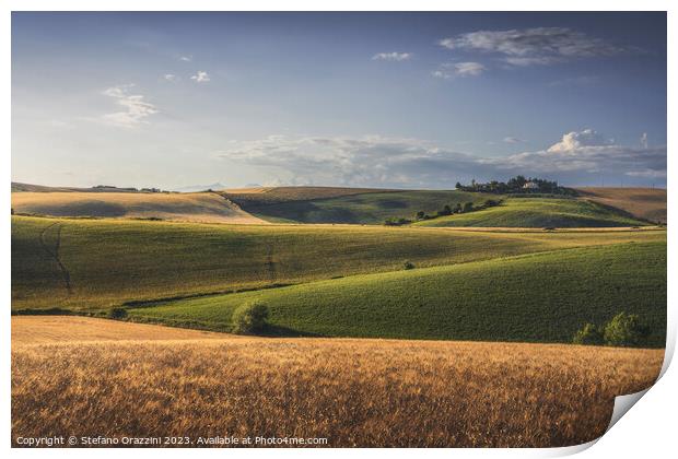 Rolling hills and wheat fields. Santa Luce, Tuscany Print by Stefano Orazzini