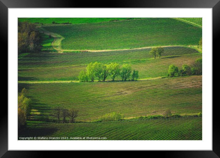 Landscape with vineyards and trees in Montepulciano. Tuscany Framed Mounted Print by Stefano Orazzini