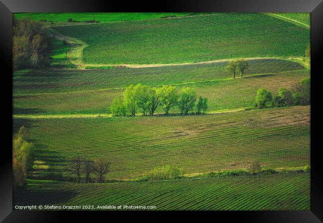 Landscape with vineyards and trees in Montepulciano. Tuscany Framed Print by Stefano Orazzini