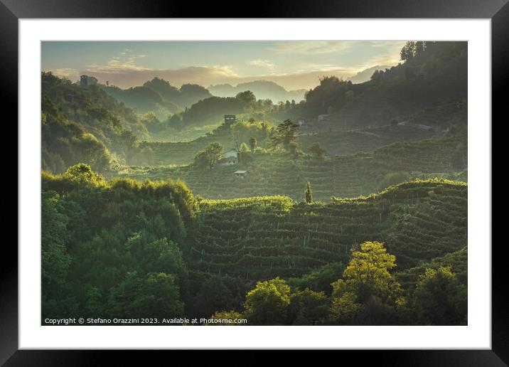 Prosecco Hills hogback. Vineyards at sunset. Veneto, Italy Framed Mounted Print by Stefano Orazzini