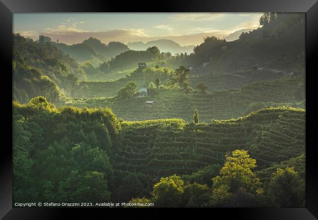 Prosecco Hills hogback. Vineyards at sunset. Veneto, Italy Framed Print by Stefano Orazzini